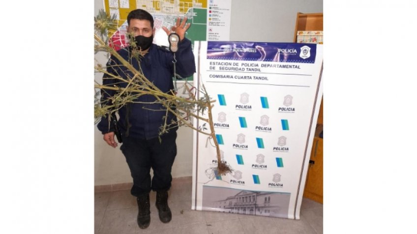 Personal policial dio con el culpable de un robo y en el mismo allanamiento secuestró marihuana y municiones
